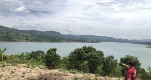 vườn cây ăn trái
